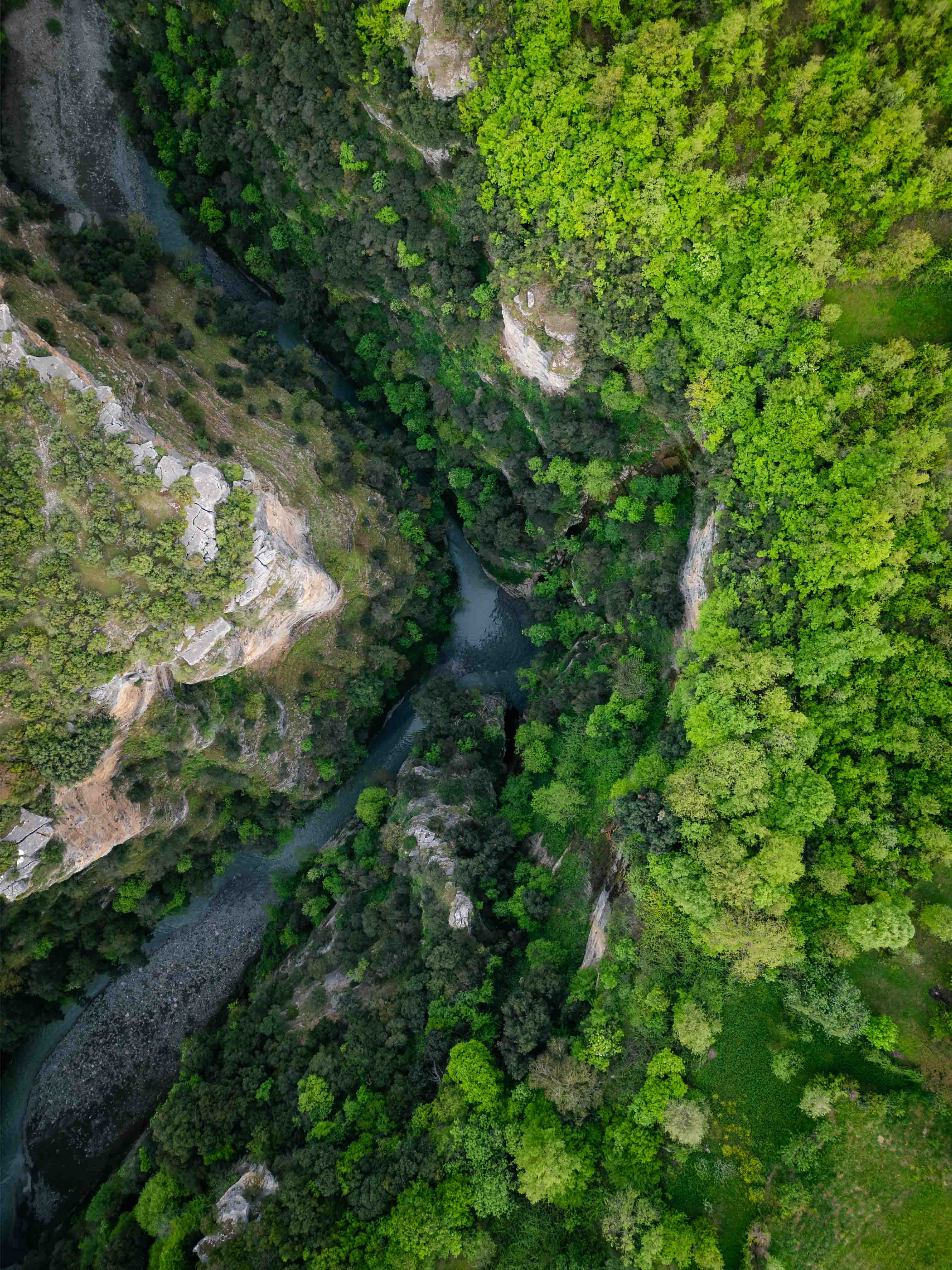 Vertical 1